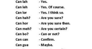 Kereta awak kena saman tadi english translation: Kena Saman Cy Cy Says