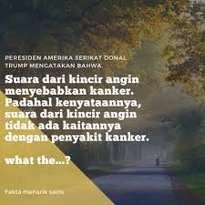 Dilihat dari ukuran badan, bayi tentunya lebih kecil dari manusia dewasa. Fakta Menarik Sains Completed Kincir Angin Menyebabkan Kanker Wattpad