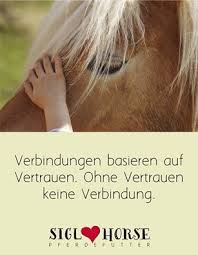 Pferde Vertrauen Pferde Lebensweisheiten Pferde Zitate