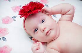 Jennifer Beers Photography