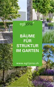 Baume Richtig Platzieren Gartnern Auf Kleinem Raum Garten Landschaftsbau Baume Garten