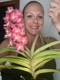 Happy blooms Wuttipanara Manoonya (Rhynvandopsis Dixie Delight x Perr.  Bangkok Sunset