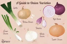 Onions 7 Different Types And How To Use Them