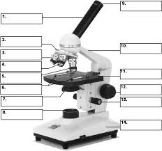 Microscope Labeling Microscope Parts Microscopic Worksheets