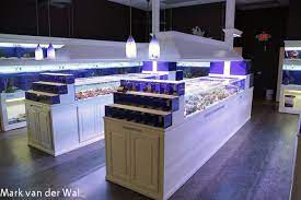 Professional aquarium companies provide all the equipment, consult with you on how you want it to look, source the animals, do all the setup and installation, and provide regular maintenance like tank cleanings. Pure Reef In Alpharetta Georgia Is A Well Executed Aquarium Store Aquarium Store Aquarium Fish Store Aquarium Shop