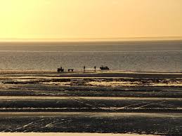 2,471 отметок «нравится», 32 комментариев — marta larralde (@lalarralde) в instagram: Atardecer En Playa Larralde Mapio Net