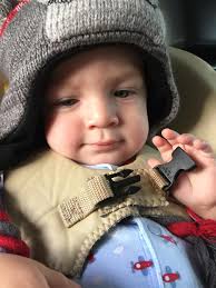 Frosty loves the beach and ocean breeze