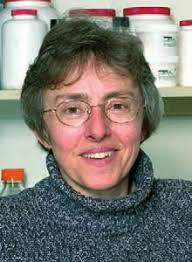 Giving a Face to Obesity Research