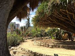 The Mildred E Mathias Botanical Garden At Ucla Includes Plants From True Desert Botanical Garden Birmingham Botanical Gardens Desert Botanical Garden Phoenix