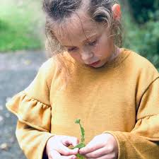 Bella Oversize Sweat, Curry Knit