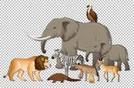 Maybe you would like to learn more about one of these? Free Vector Group Of Wild African Animals On Transparent Background