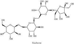 Image result for Tinnea antiscorbutica