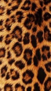pin by zzzzzzztg on oboi cute desktop wallpaper desktop wallpaper bathroom design small