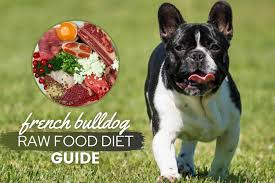 Look after your french bulldog by comparing the different types of pet insurance policies. French Bulldog Raw Food Diet Guide Recipes Benefits Faqs Canine Bible