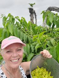 Young Living Still Going Strong!