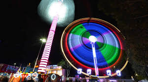 Soon the night sky plays host to the most exciting fireworks display you will see all year. Your Ultimate Royal Adelaide Show Guide