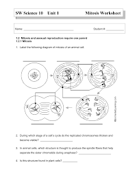 The cell (from latin cella 'small room' better source needed) is the basic structural, functional, and biological unit of all known organisms.cells are the smallest units of life, and hence are often referred to as the building blocks of life. Mitosis Worksheet