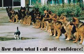 No That S What I Call Self Confidence Picture Quotes