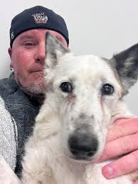 What stones make Las Cruces walls?