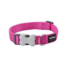 Reddingo Fang It Desenli Köpek Boyun Tasması 20 mm (M) Fusya