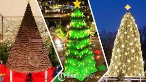 Perayaan ini tentunya tak akan lengkap tanpa hadirnya pohon natal, bukan? 20 Ide Dekorasi Natal Unik Di Gereja Fatiha Decor