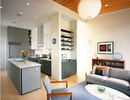 kitchen living room combo: design ideas