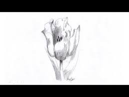 La fel considerau si chinezii si budistii, folosind trandafirii pentru ridicarea. Desen In Creion Cu Casa How To Draw A Cute House Pencil Drawing Youtube