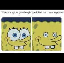 40 Funny Spongebob Memes Dank Spongebob Memes You can even show these to your grandma, to your pastor, or anyone who might appreciate a little more wholesome humor!
