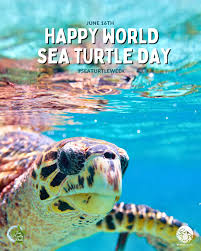Happy World Sea Turtle Day!!! Share your favourite photo Every June 16th, we celebrate World Sea Turtle Day, a tribute to these incredible ocean wanderers and to Dr. Archie Carr, the “
