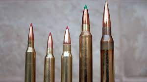 In many instances, both hunters and bullet manufacturers do not understand what's required to achieve goals. Top 5 Long Range Cartridges Fish Hunt Buzz