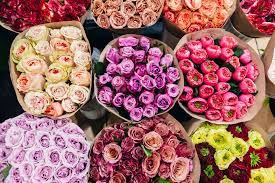 Check spelling or type a new query. Research Says Having Fresh Flowers In Your Home Could Reduce Pain Levels