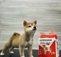 Dono Dog Diaper China Trade,Buy China Direct From Dono Dog ...