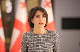 Gürcüstan XİN rəhbəri: Vizasız gediş-gəlişi dayandırmaqla vətəndaşları şantaj edirlər