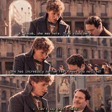 oh my goodness newt is just the best thing ever because he s not too good at keeping e harry potter funny harry potter fantastic beasts harry potter fandom