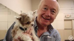 VIDEO: Long Beach Ballet's 'Nutcracker' becomes 'Mutt-Cracker' for rescue  pups • Eat. See. Do.