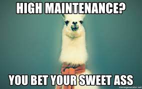 Comebacks If You Are Called High Maintenance I Should Have Said Motivational Memes Funny Motivational Memes Funny Motivation