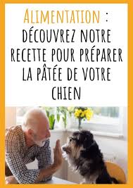 Recette De Pate Pour Chien En 2020 Chien Alimentation Chien Pate Pour Chien