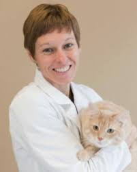 Veterinarian In Lake In The Hills, IL