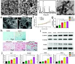 Mylife.com has been visited by 100k+ users in the past month Fabrication And Applications Of Bioactive Chitosan Based Organic Inorganic Hybrid Materials A Review Sciencedirect