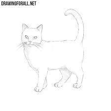 This cat drawing tutorial was written and illustrated by tim van de vall. How To Draw A Cat