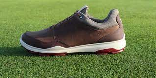 Ecco Biom Hybrid 3 Review
