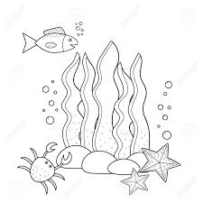 The package contains one scale per species, defined by five dominant colors. Coloring Page For Kids Underwater Seaweeds And Fish Starfish Royalty Free Cliparts Vectors And Stock Illustration Image 101194661
