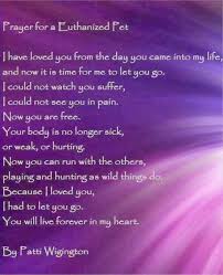 Maybe you would like to learn more about one of these? Pin On Mystical