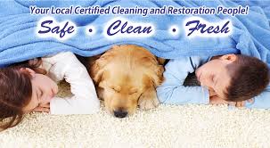We are a family owned and operated carpet, upholstery, floor and water restoration cleaning business that has been serving myrtle beach, sc and all nearby cities since 2005 and looking forward to serving you our customers for years to come. Carpet Cleaning Mwm Services United States