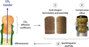 Bwy holdings sdn bhd jobs now available. Unravelling Co2 Transfer Through Cork Stoppers For Champagne And Sparkling Wines Sciencedirect