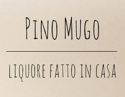 E' famosa per la preparazione di un liquore e di un olio essenziale che si estrae dai suoi. Steve Molin On Behance