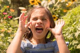 2024 Foundation Annual Report