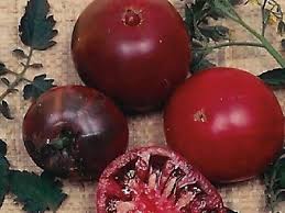 Will plant more than 1 plant of bk next. Black Krim Tomato