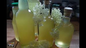 Holunderblutensirup Rezept Und Anleitung Youtube