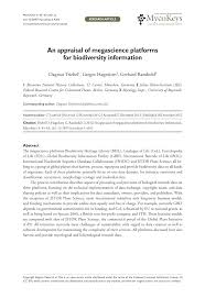 Image result for Pseudoeriosema borianii